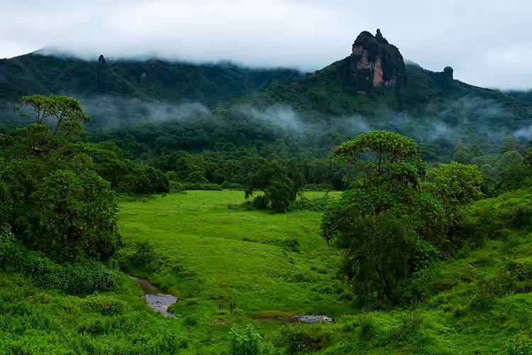 Bale Mountains National Park Ethiopia destination