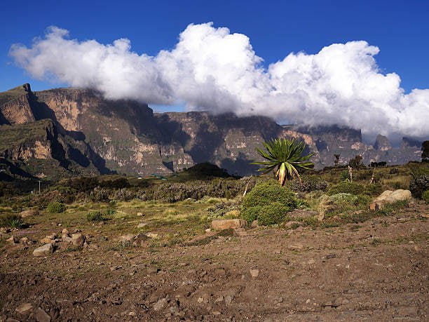 Simien Mountains: Ethiopia's Extraordinary Highland Wilderness
