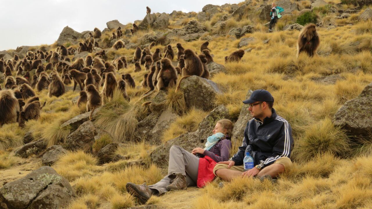 Encounter the Gelada Baboons in the Simien Mountains