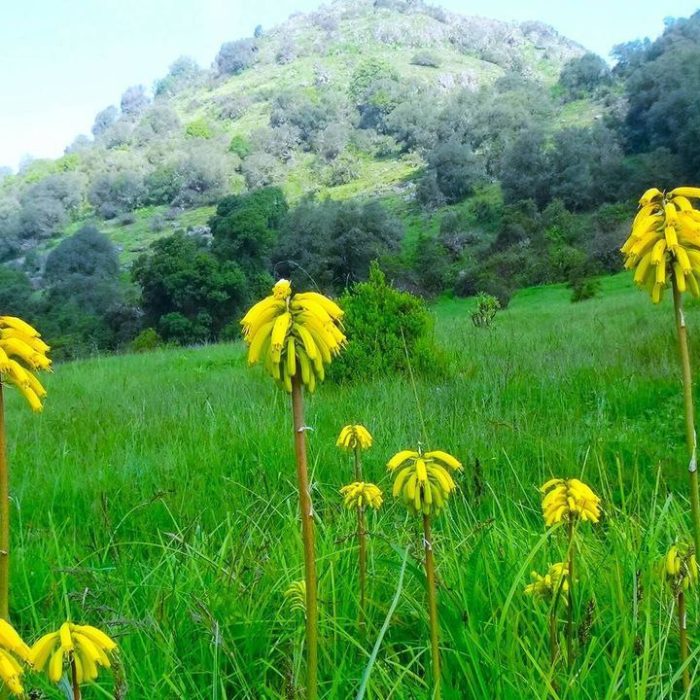 Siemen-Mountain-TrekkingNEW