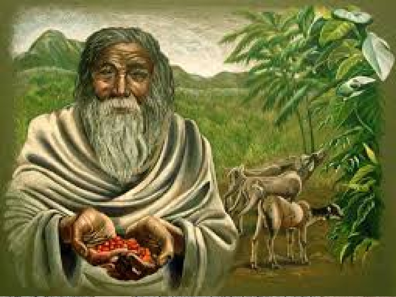 COFFEE BIRTH PALCWEdy